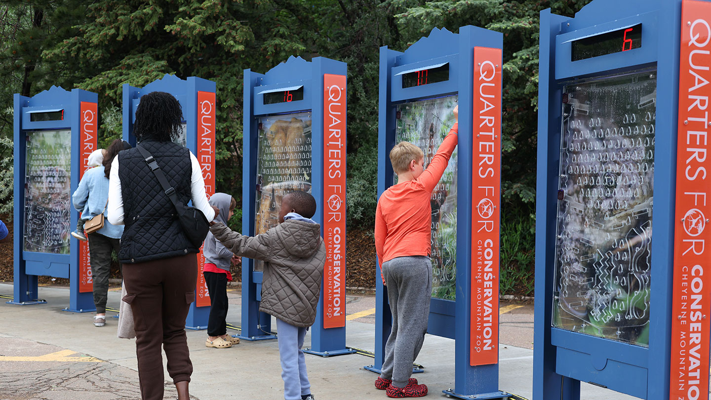 Quarters for Conservation kiosk with mother and child voting using tokens